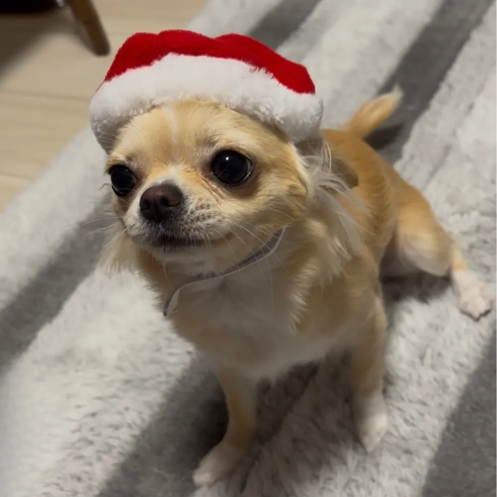 くうちゃん