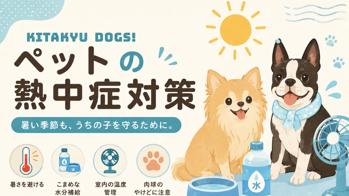 ペット熱中症